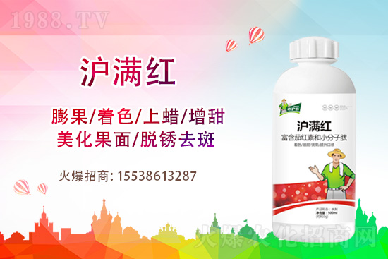 冬季大棚草莓著色差是什么原因？改良措施怎么做？