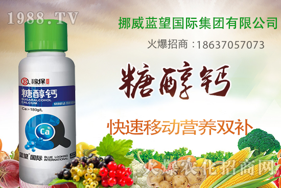 草莓缺鈣有哪些原因呢？草莓缺鈣癥狀及補救措施