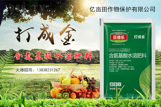 種植草莓不甜是什么原因？如何促進草莓增甜？