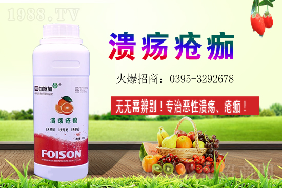 2021年石榴種植收益如何？石榴的利潤(rùn)前景怎么樣？