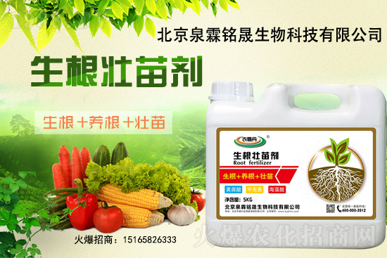 一豆難求！2020-11-25東北大豆上漲迅猛