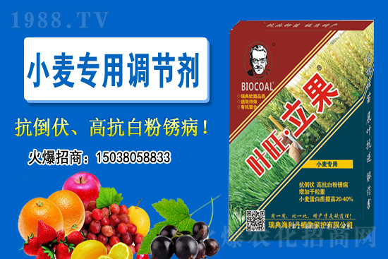 小麥價(jià)格會不會上漲？2020-11-26小麥價(jià)格行情