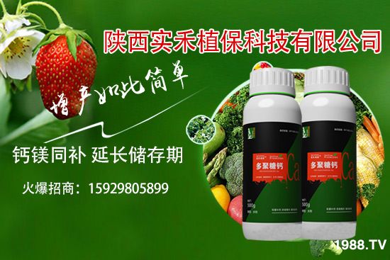 西紅柿卷葉是什么原因，西紅柿卷葉防治措施有哪些？