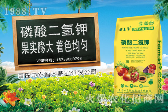 今日小麥價格上漲，后期是否會持續(xù)上漲？