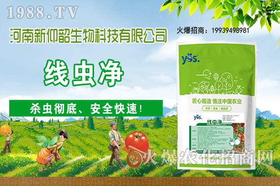 多肉植物該怎么澆水？多肉植物澆水要注意哪些問題呢？