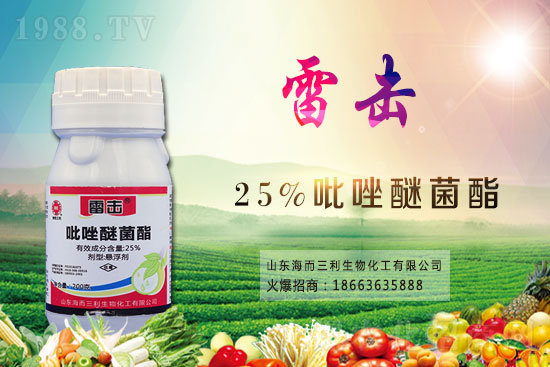 魔芋價(jià)格多少錢一斤？2021年魔芋種植前景如何？