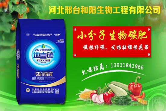 春節(jié)前小麥價格會不會漲？今日小麥價格行情！
