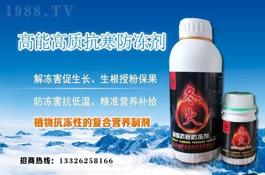 早春韭菜如何施肥？韭菜施肥方法和注意事項！