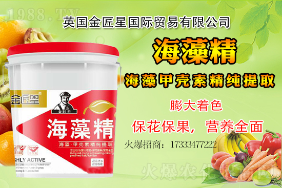 小麥價(jià)格還會(huì)出現(xiàn)大漲嗎？小麥行情總結(jié)！