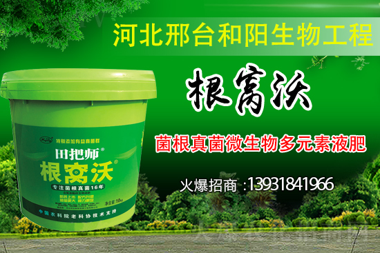 哪些病害屬于土傳病害？采取什么措施可以防治？