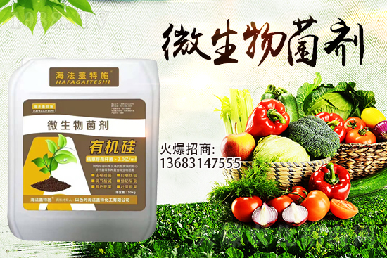 寒潮來襲！大棚持續(xù)低溫，作物生根要點(diǎn)！