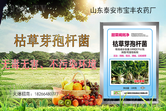 枯草芽孢桿菌能解決作物哪些問題？枯草芽孢桿菌在農(nóng)作物上的應(yīng)用！