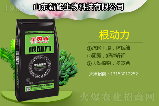 作物根部病害多原因在哪？解決病害生根措施怎么做？