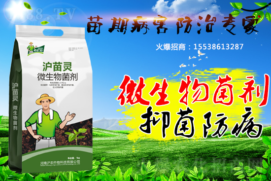作物苗期病害“致命傷”，基本的預(yù)防方法您會(huì)了嗎？
