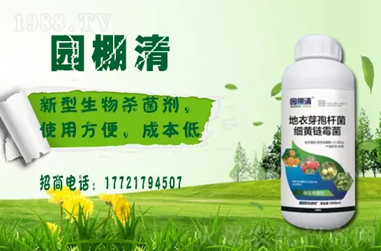 磷酸二氫鉀冬天用效果好嗎？磷酸二氫鉀如何提升植物抗寒能力的？