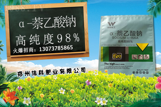 豆角種植時間是什么時候？豆角對環(huán)境條件有哪些要求？