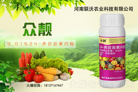 草莓膨果期著色期，如何快速膨果、均勻上色？