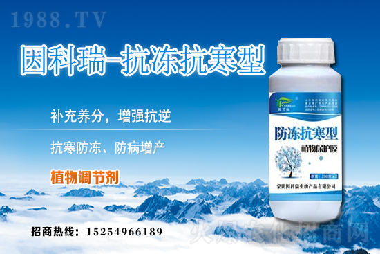 今日稻谷價(jià)格多少錢一斤？2020年12月9日稻谷價(jià)格行情
