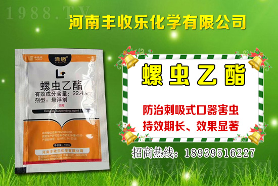 2021年棉花種植品種該怎么選？棉花選種要注意哪些問題？