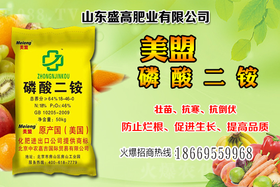 近期小麥價(jià)格還會(huì)繼續(xù)上漲嗎？12月小麥價(jià)格行情分析