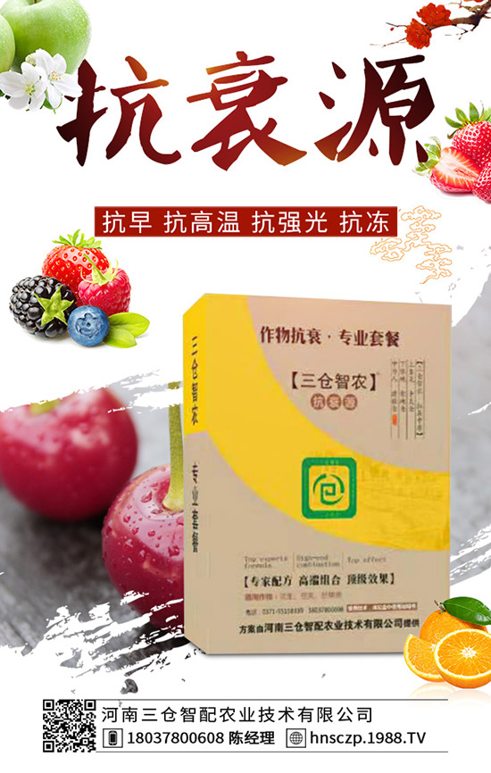 三月份適合種植什么蔬菜？三月份蔬菜種植注意事項！