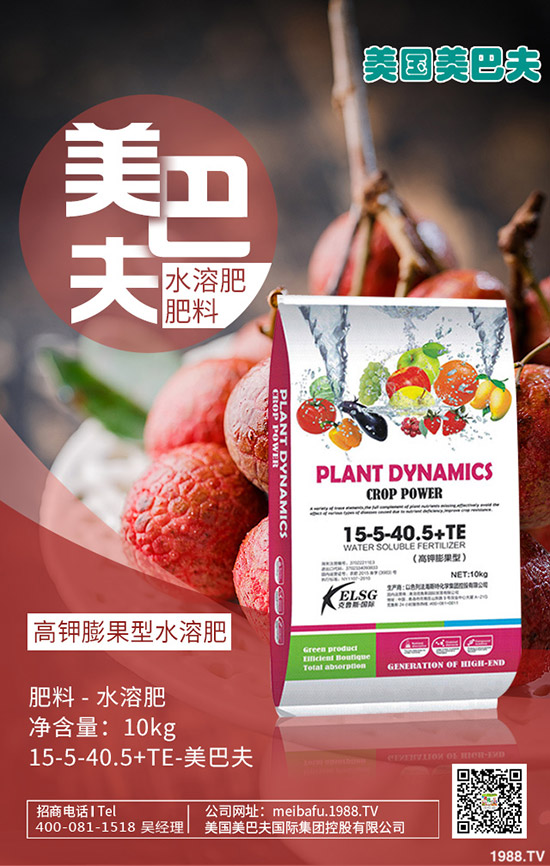     冬小麥進(jìn)入三月如何管理？小麥管理重點(diǎn)及注意事項(xiàng)！