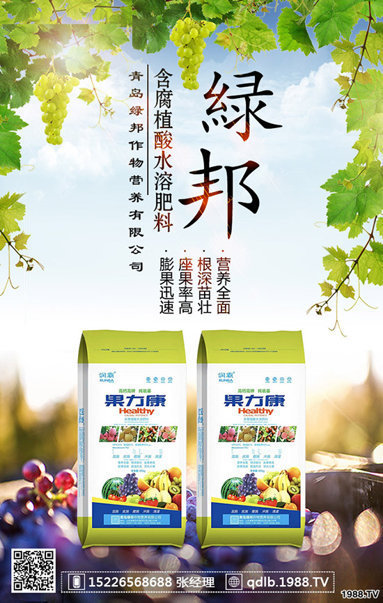 春季菠菜怎樣施肥好？種植菠菜如何科學(xué)施肥