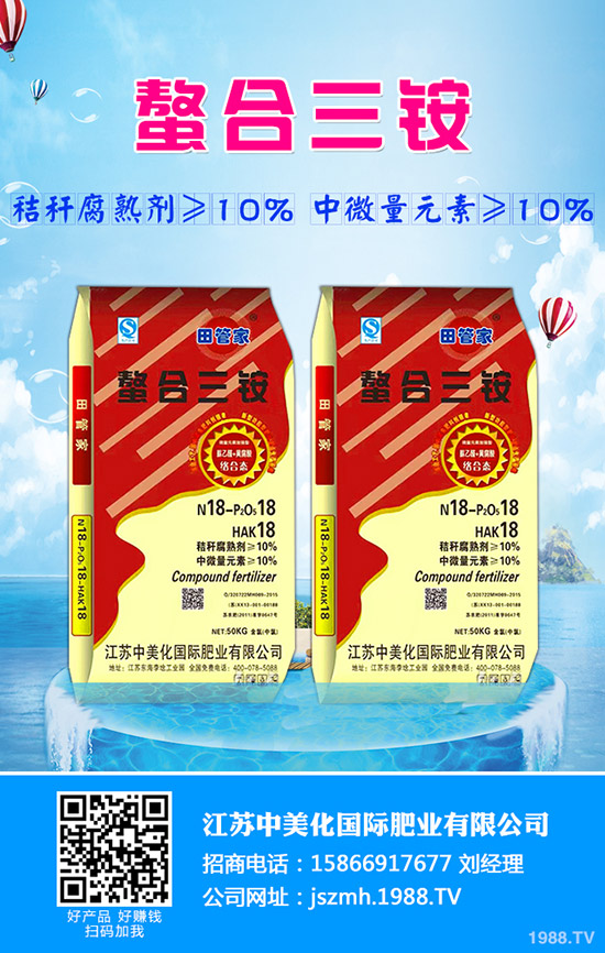 生菜水培的好處有哪些？生菜水培管理方法！