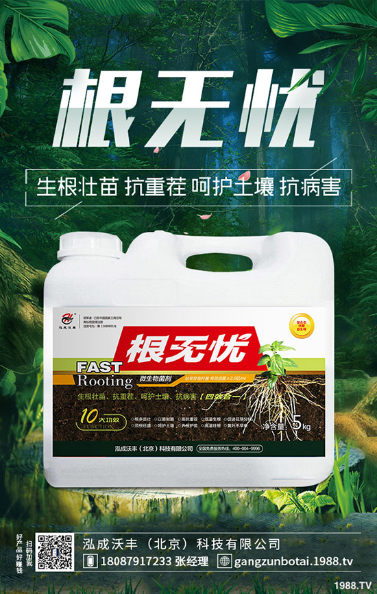 豆角鉆心蟲危害大、抗性大怎么辦？豆角鉆心蟲綜合防治！