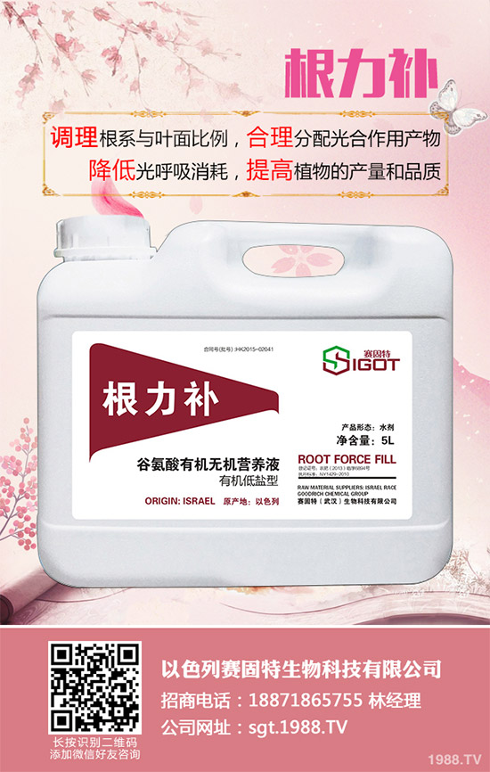 小麥春季常見的病害有哪些？該如何防治？春季小麥病害防治方法介紹