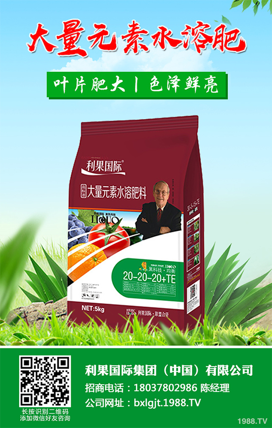 金銀花種植前景如何？2020金銀花的種植前景及效益分析