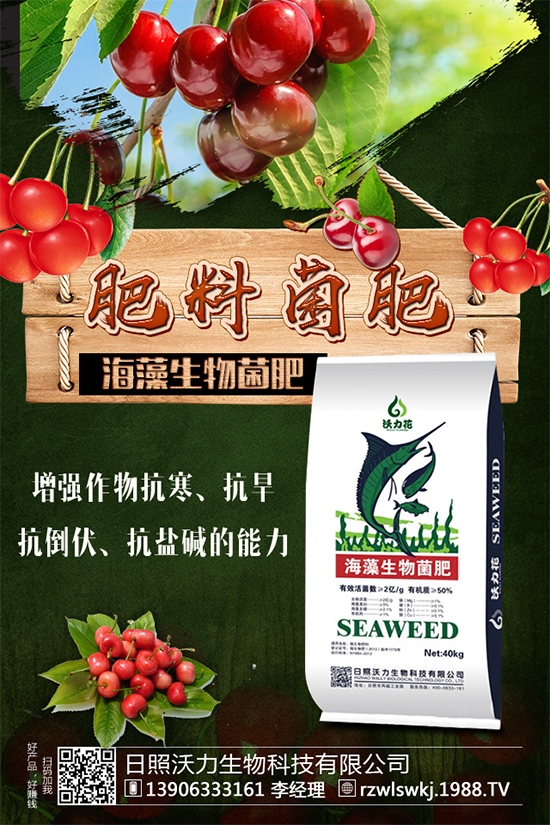 春玉米該如何種植？早春玉米高產(chǎn)種植技術要點