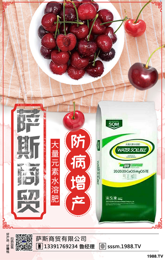 春玉米該如何種植？早春玉米高產(chǎn)種植技術要點