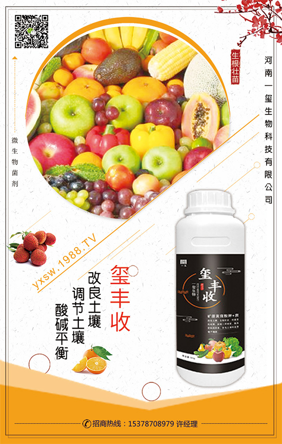 葫蘆的生長(zhǎng)習(xí)性，葫蘆種植技術(shù)要點(diǎn)！