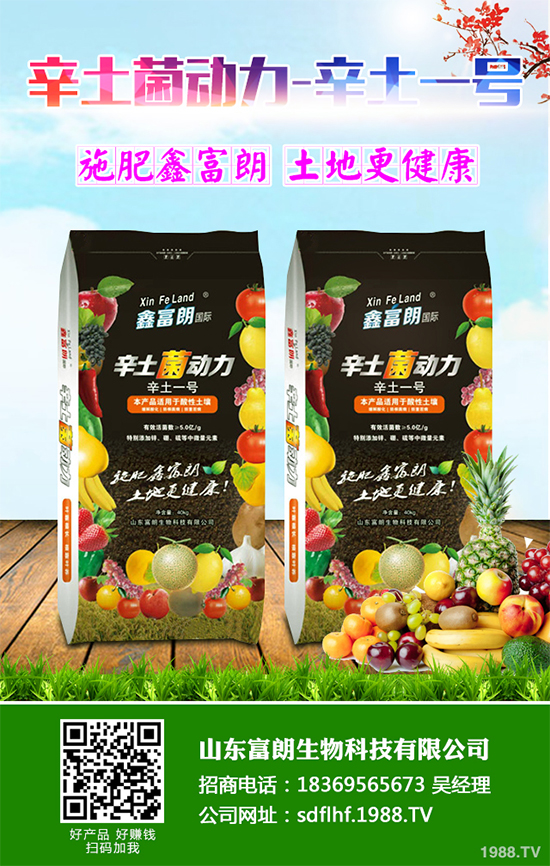 你知道春花生什么時候播種嗎？2020年春花生種植方法講解