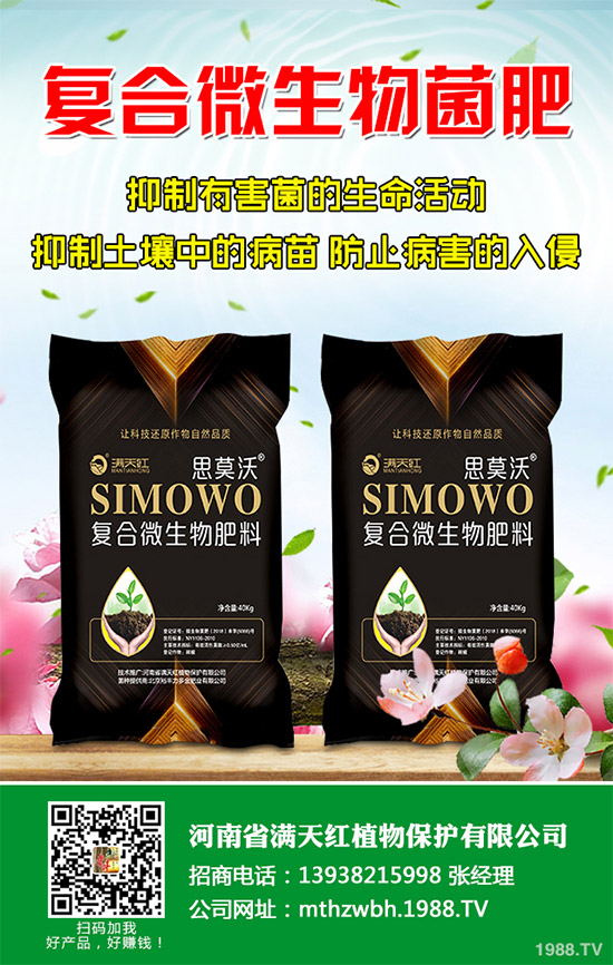 春玉米如何巧施肥？2020年春玉米科學(xué)施肥建議