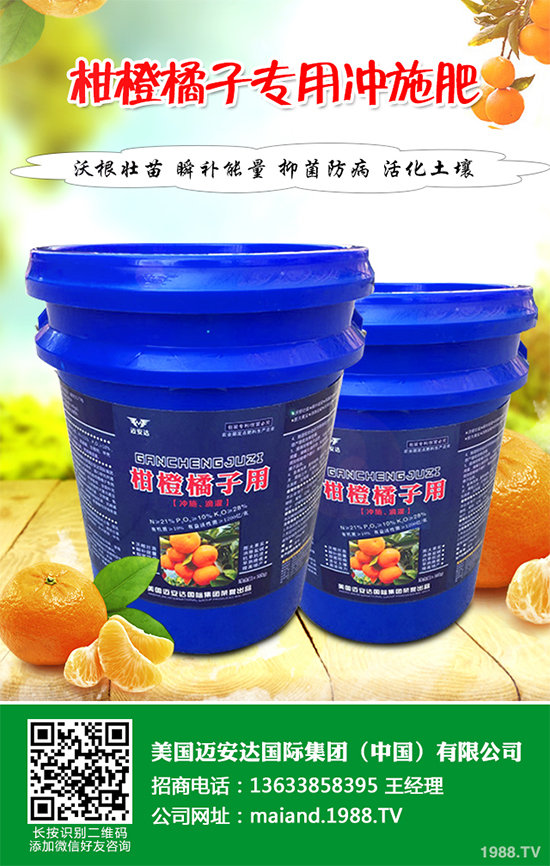 花椒樹該如何種植？三步幫你輕松種出高產(chǎn)花椒！