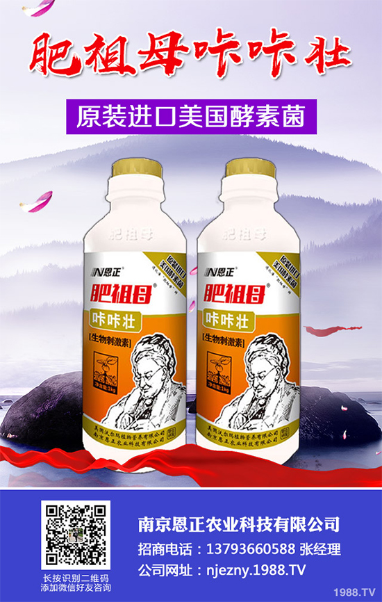 春季花椒樹常見的病蟲害有哪些？該如何防治？花椒病害的發(fā)生與防治