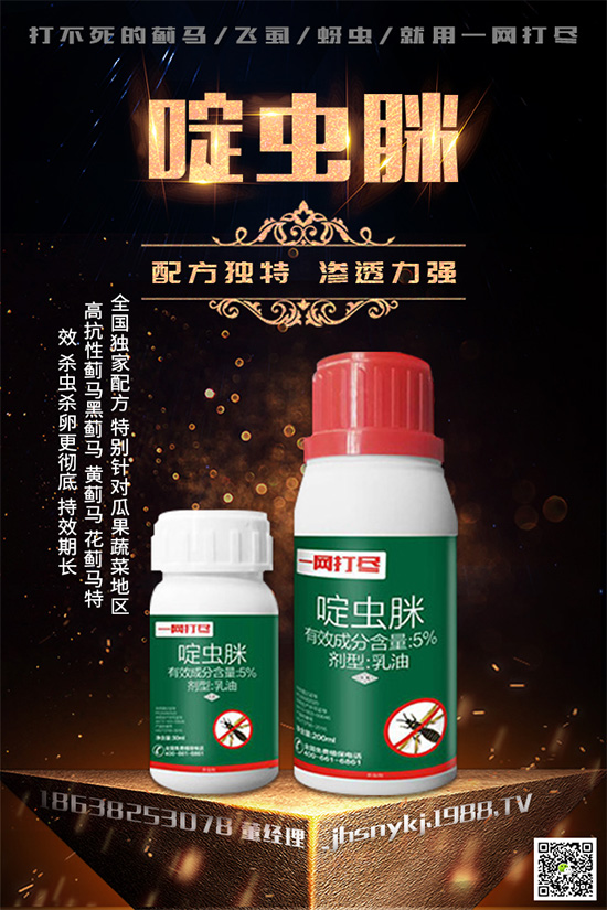 白粉虱對(duì)辣椒有什么危害？辣椒白粉虱怎樣防治好？