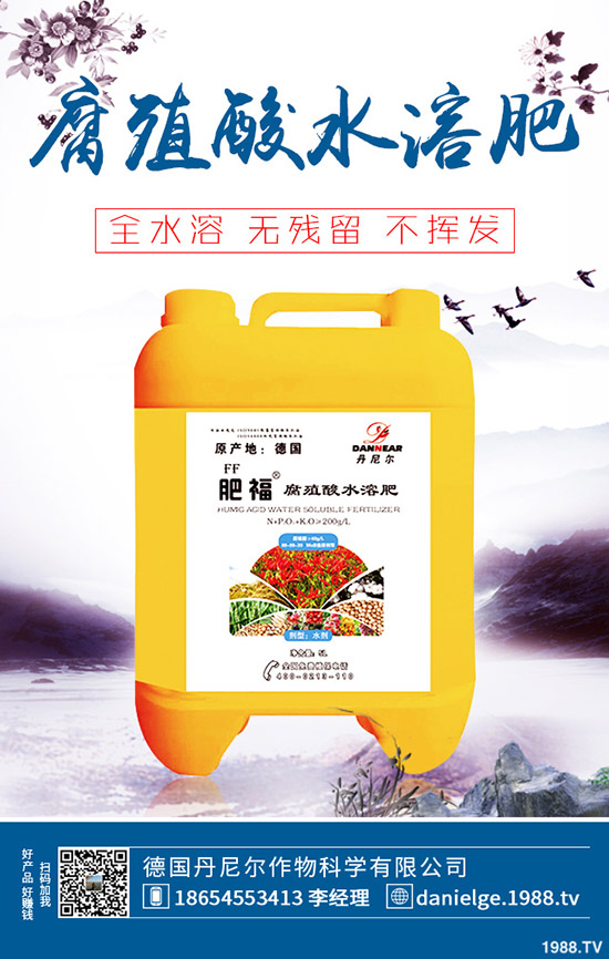 生菜怎么快速催芽？生菜催芽后管理方法！