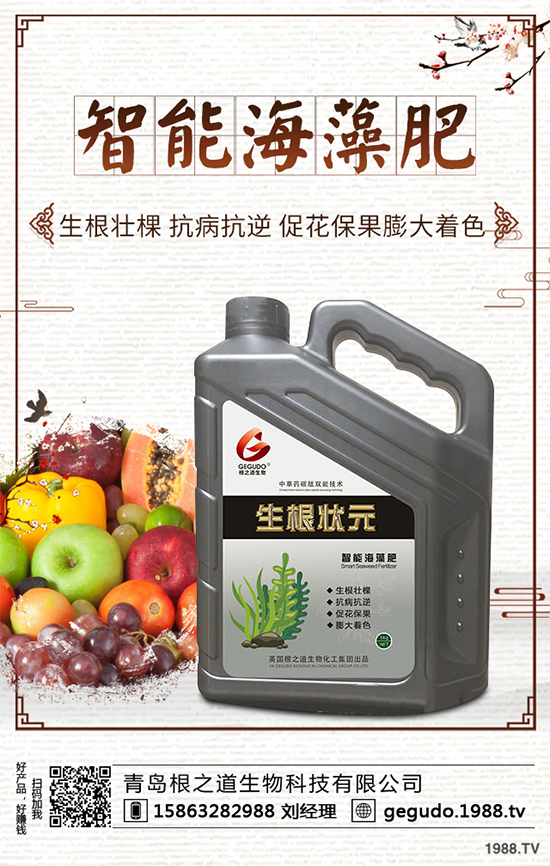 棉花種植怎么管理？棉花各個生長期的管理技術(shù)要點！