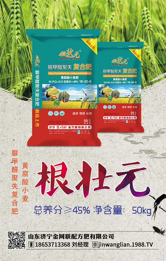 露地茄子該如何種植？茄子春季種植管理技術(shù)要點(diǎn)