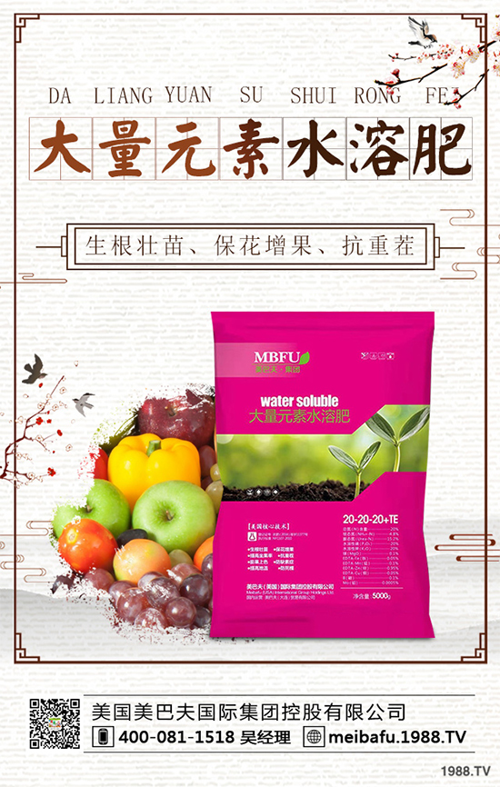 向日葵對種植條件有哪些？花菜的種植管理要點(diǎn)！