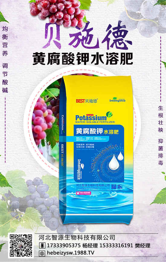 芹菜的營養(yǎng)價值有哪些？常吃芹菜有什么好處？