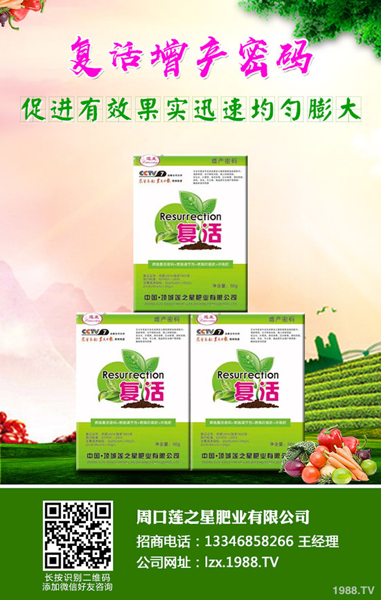 萵苣如何施肥？萵苣用什么肥料好？