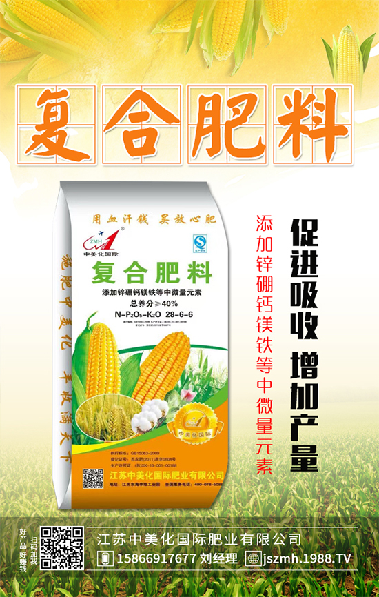 茄子什么時間育苗？茄子育苗的栽培管理要點！