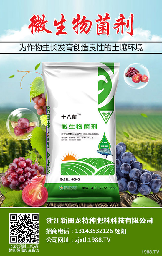 南瓜需肥規(guī)律，南瓜的施肥方法