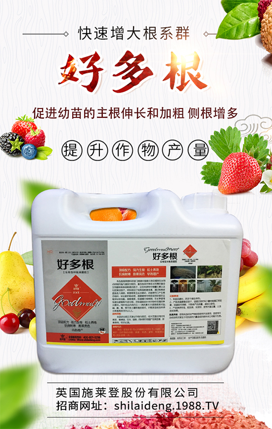 春季菠菜在什么時(shí)候種植好？菠菜種植技術(shù)要點(diǎn)有哪些？	