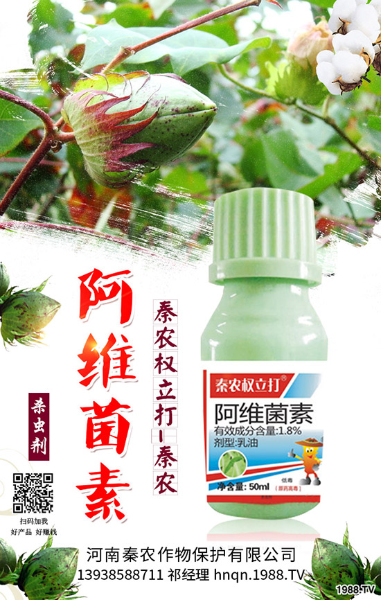 番茄生理性卷葉是什么原因？番茄生理性卷葉病的防治！