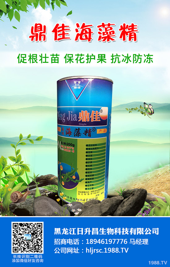 辣椒怎么育苗產(chǎn)量好，辣椒育苗技術要點！